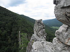 looking South at Humphry's Head