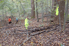 safety vests mark the trail for volunteers who arrived later