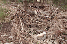 flood debris