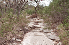 flood debris in a creekbed