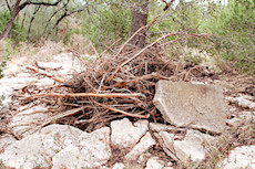 flood debris