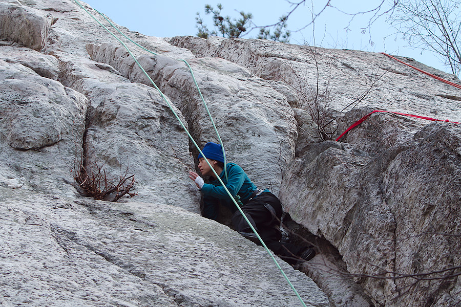 climber on Well Groomed when Pruned