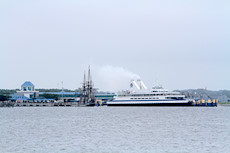 stinky ferry