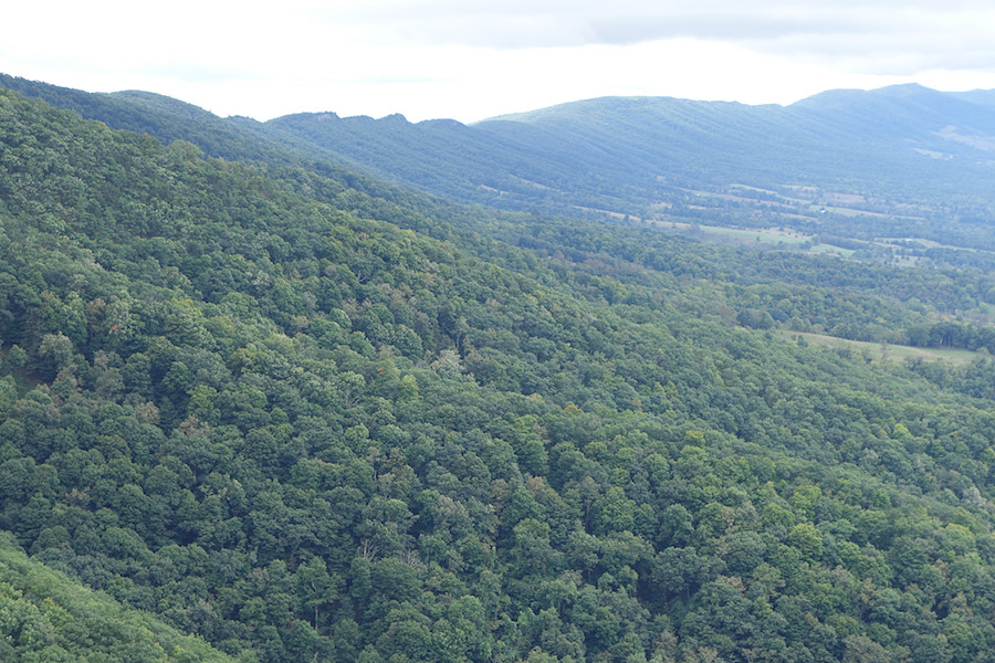 view to the north along the ridgeline