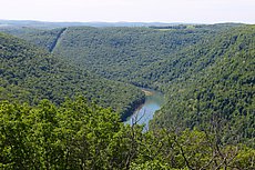 Cooper's Rock Overlook