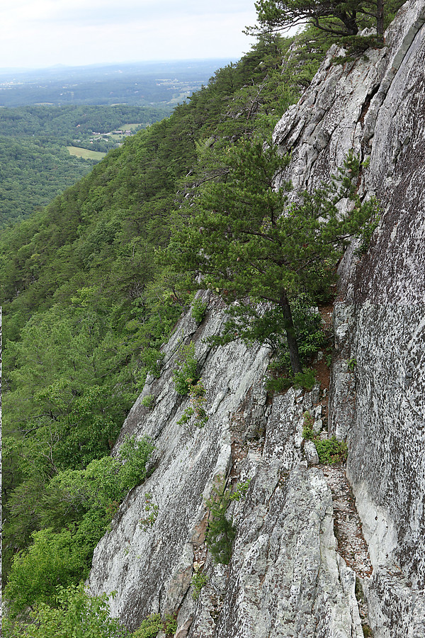 Buzzard's Rock