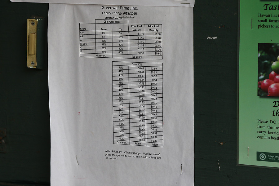 coffee prices