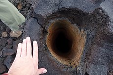 lava flow vs. tree