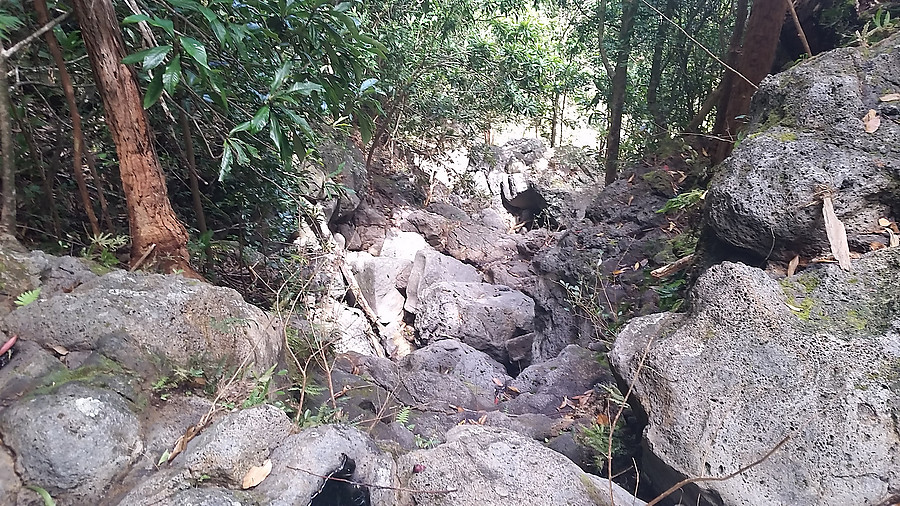 part of a drainage you cross on the gulch trail