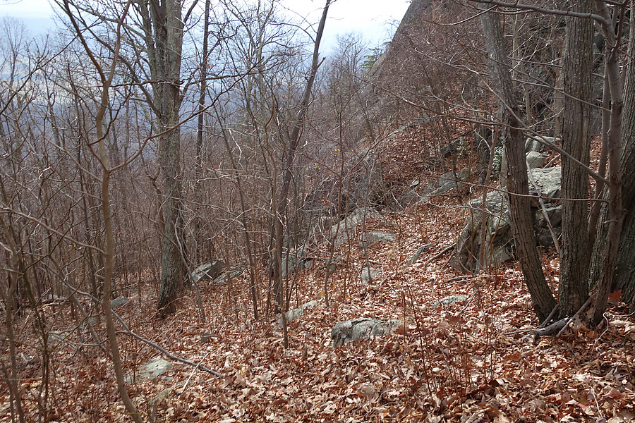 approach trail - Gully on right, Lower Ridge trail slabs down and to the left