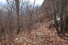 approach trail - Gully on right, Lower Ridge trail slabs down and to the left