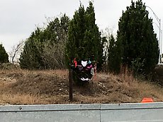 keep it classy, Austin, the underwear tree