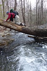 crossing back over Fishing creek