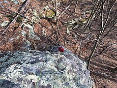 Indy standing on a ledge 15' above the bottom of the climb