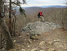 Indy at the overlook on the AT