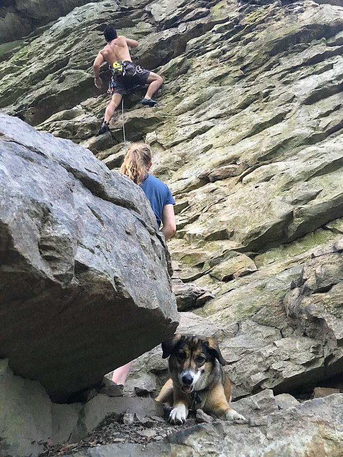 climbers at Talking Headwall