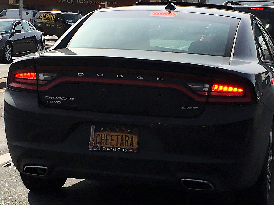 CHeetara / ThunderCats license plate