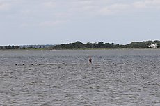 fishing off the old ferry pier