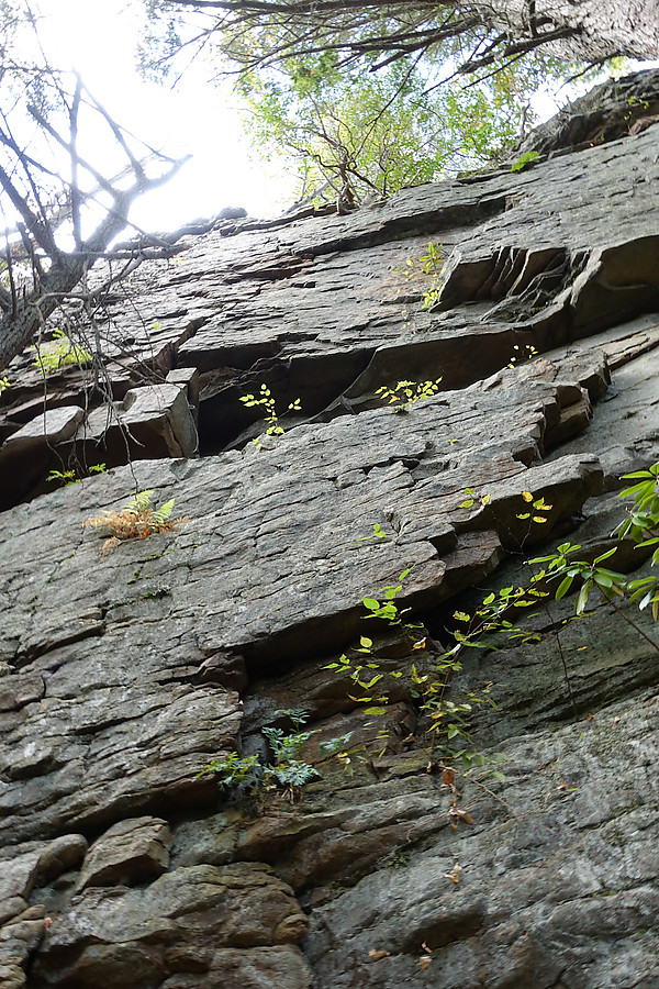 John led the ~5.5 line of weakness that follows the flake up to the mid-way ledge and then crack on the left up to the trees.