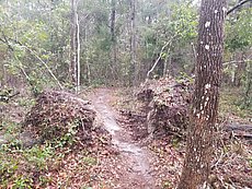 took a hike in the rain on Friday