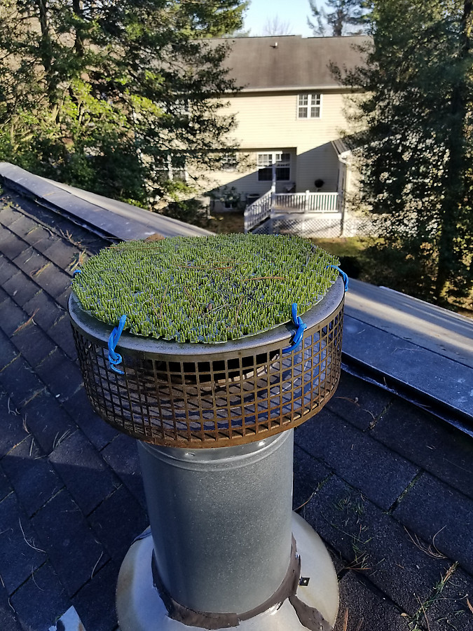 someone used CAT5 ethernet cable to attach fake grass to the top of our chimney