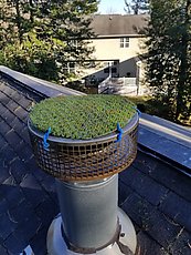 someone used CAT5 ethernet cable to attach fake grass to the top of our chimney