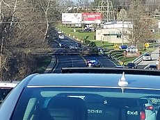 tree across US1