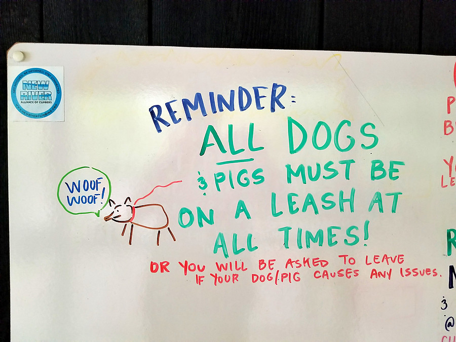 REMINDER: ALL DOGS & PIGS MUST BE ON A LEASH AT ALL TIMES!