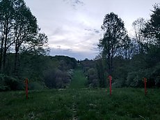 walking the Colonial gas pipeline cut back to the road