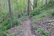 to the left goes below the boulder, to the right goes over on the top of it