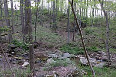 main boulder as viewed from across the creek