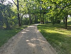 bike path that clearly floods a lot