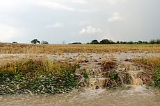 waters from a period of heavy rainfall cascade off of a farmfield on to the road