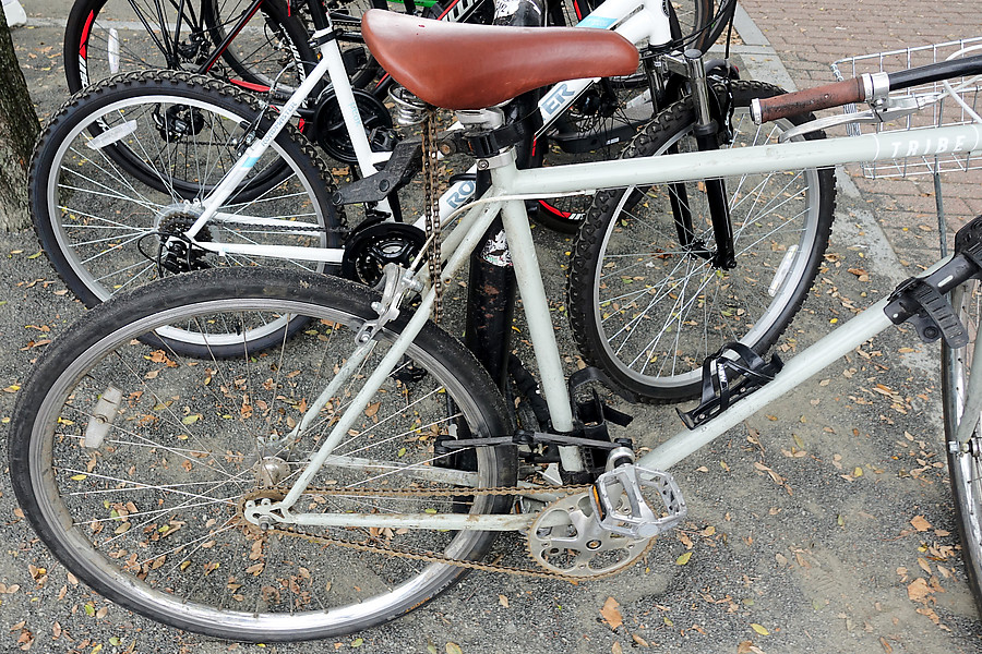 nice chain saddle-keeper on this fixie