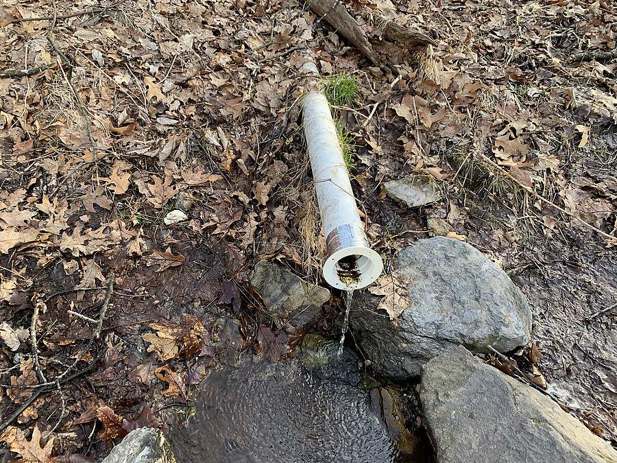 spring at the Pine Knob shelter