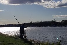 absolute monster of a fish this guy caught while I was eating dinner (looked to be about 2')