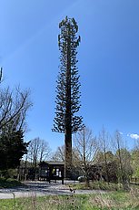 cell tower tree off rt 200