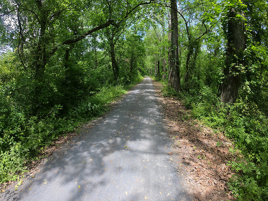 C&O canal towpath