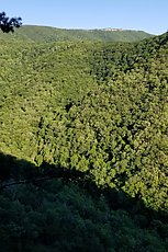 North Fork mountain to the east