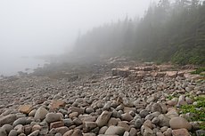 Boulder beach