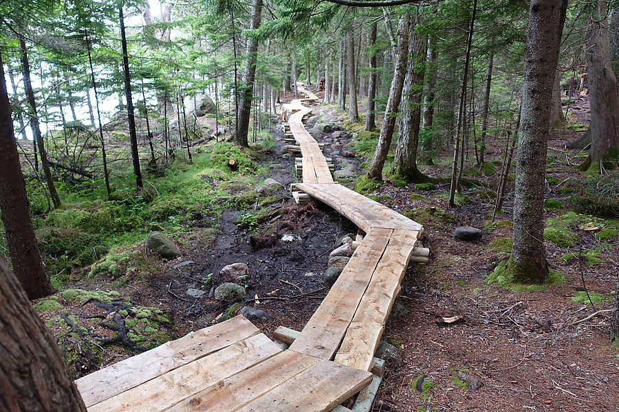 boardwalk finished moments before this was taken