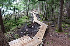 boardwalk finished moments before this was taken