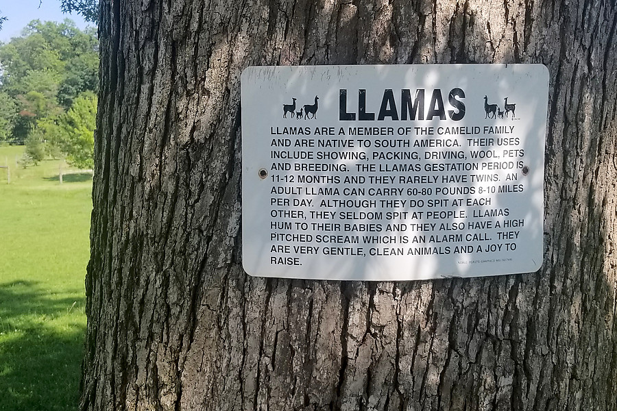 LLAMAS