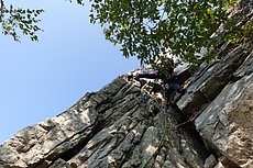 Lauren heading up Conn's West