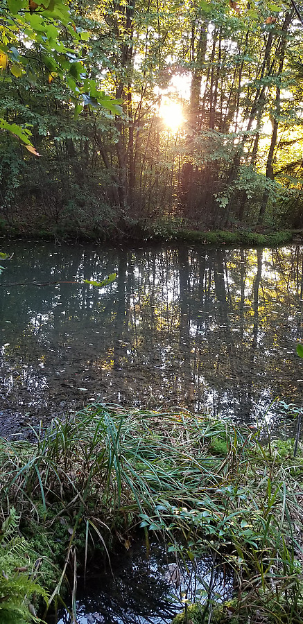 spring-fed lake