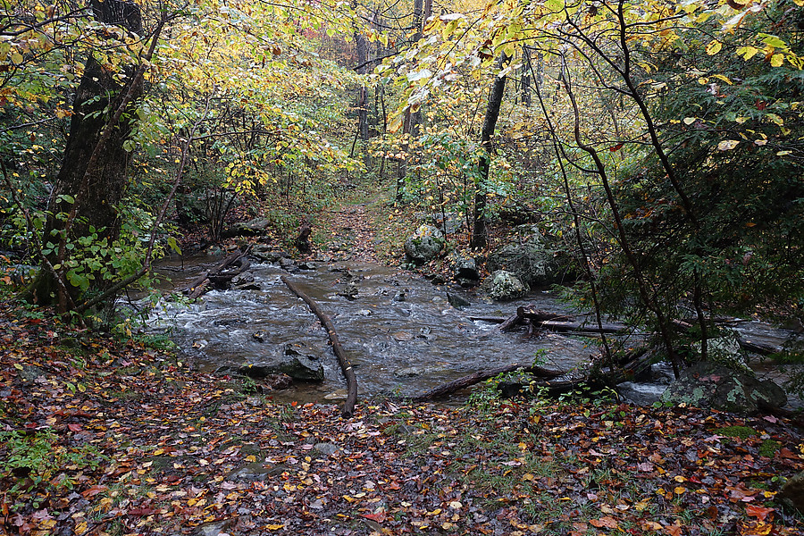 first Piney River crossing - pretty casual here but it was running 100 CFS wherever the gauge is downstream