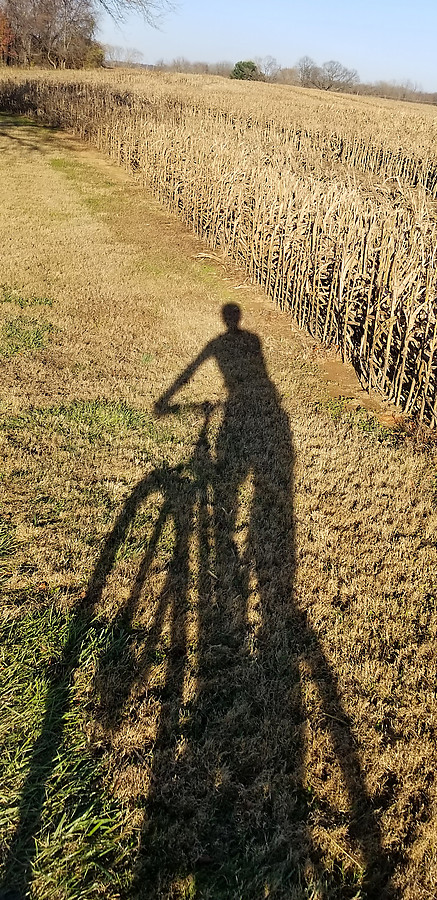 the awesome shadows you get before doing a bit of night riding without lights