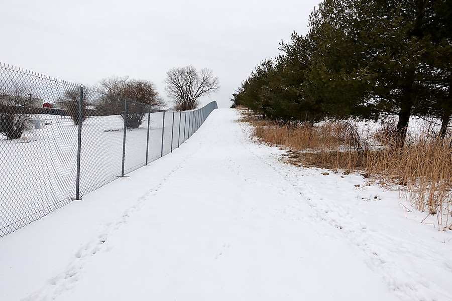 perfect XC ski conditions and lots of deer tracks