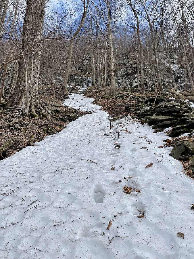 Bill had left his pack further but he suggested that this snow field might be a good descent. It was glorious, with abundant deep purchase, and provided an easy descent almost halfway down the hill