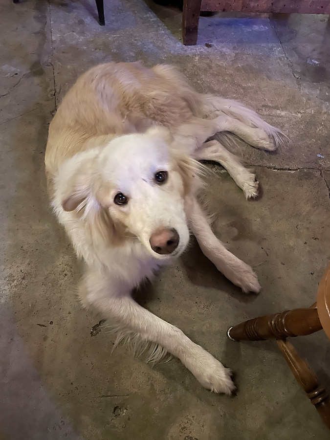 James, a hard working staff member at the Barn in Harper's Ferry